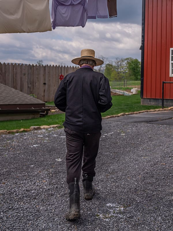 Amish Farmer