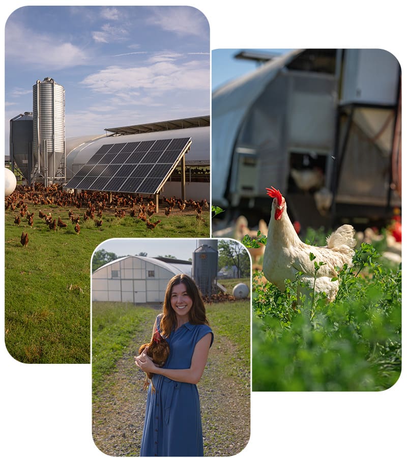 Small Farms Real Farmer Lancaster County